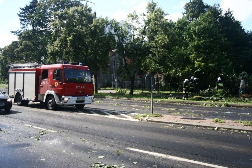 Piła: Trąba powietrzna nad miastem. Wyrywała drzewa z korzeniami! [ZDJĘCIA]