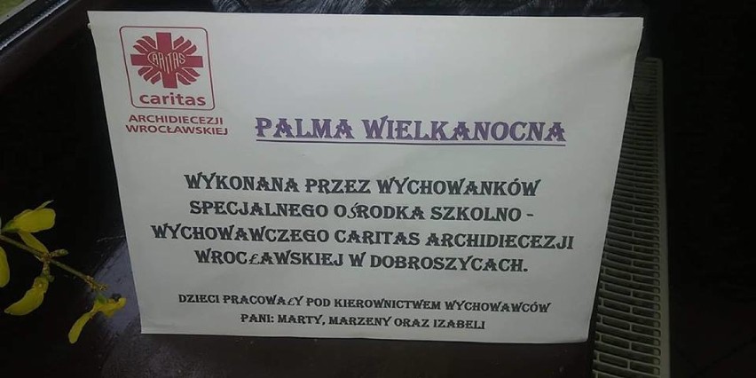 Dobroszyce: Wychowankowie SOSW wykonali palmę wielkanocną