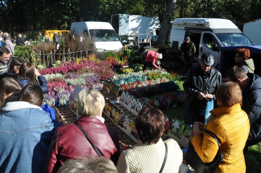 Jesienne Targi Rolno-Ogrodnicze w Marszewie odbędą się już 3 października