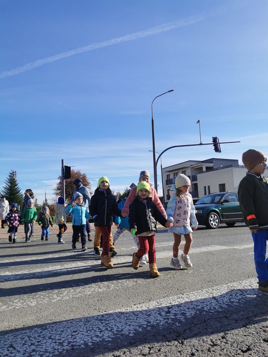 Przedszkolaki z Kraśnika wiedzą jak bezpiecznie przechodzić przez przejścia dla pieszych. Zobacz zdjęcia