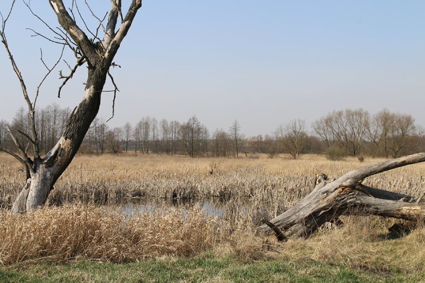 W gminie Wólka powstaje ścieżka rowerowa i infrastruktura za ponad 4 mln złotych. Wszystko dzięki środkom unijnym