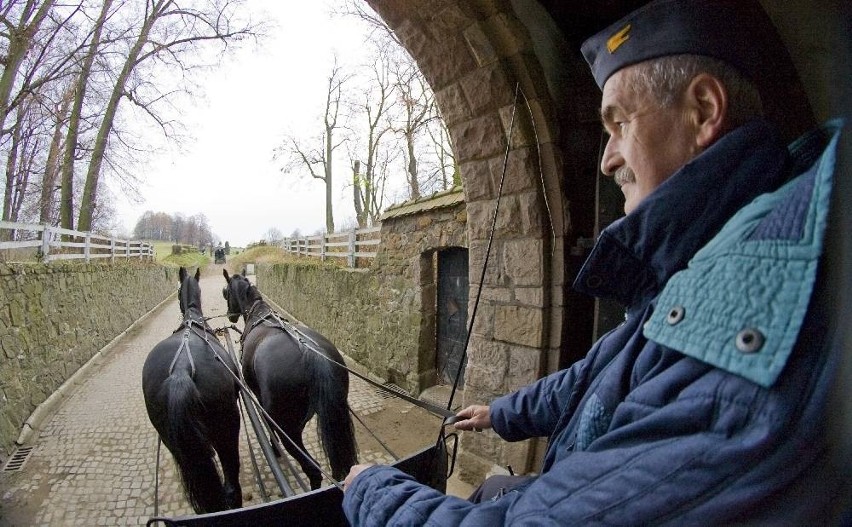 Hubertus w stadninie Książ (zdjęcia)