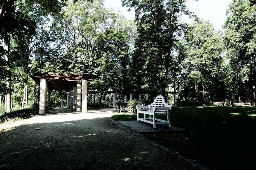 Ławka Bironów wróciła na swoje miejsce w sycowskim parku! Jest ładniejsza od poprzedniej