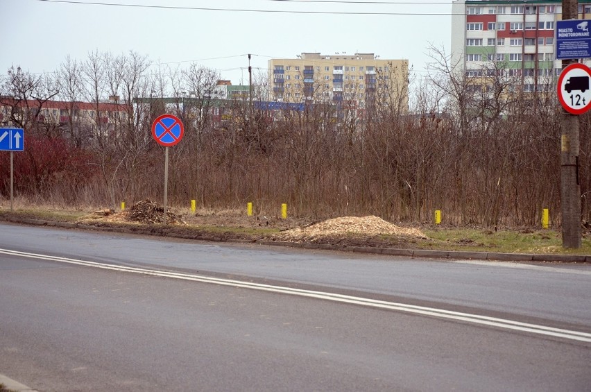 Wycięli drzewa przy skrzyżowaniu ulic Wojska Polskiego i Piłsudskiego w Głogowie. Będzie tam rondo. Kiedy kolejny krok?