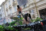 Festiwal Open City: Mocne uderzenie na Krakowskim (WIDEO)