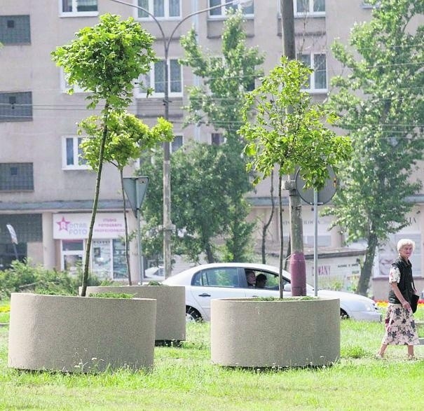 Donice z klonami nie stoją już przy ul. Piłsudskiego