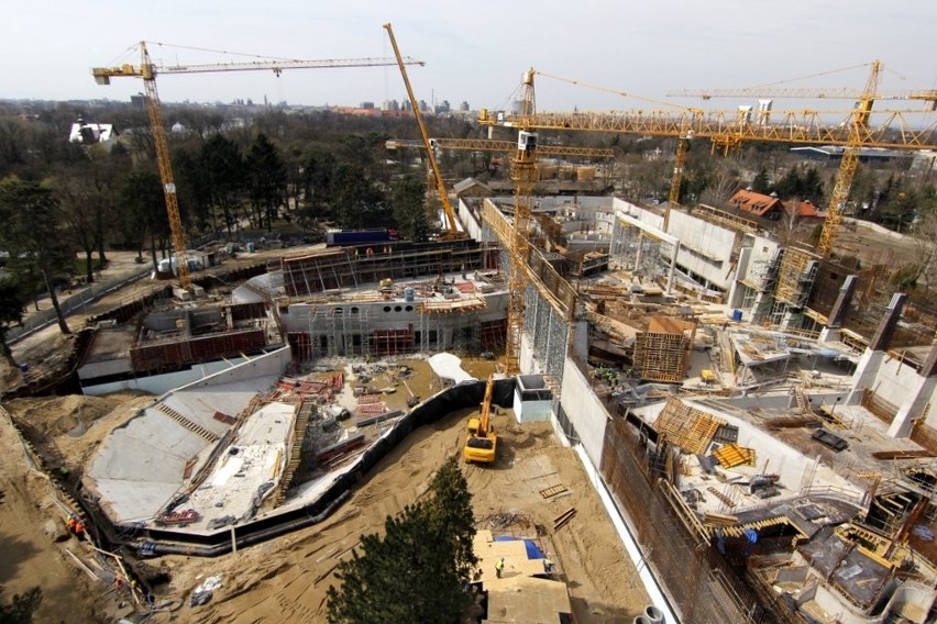 Tak powstaje afrykarium we wrocławskim ZOO