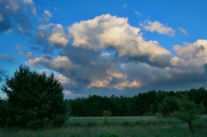 Piękna Ziemia Tarnogórska - dzielnica Pniowiec ( zdjęcia )