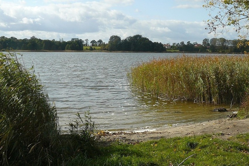 Duża plaża nad Jeziorem Niepruszewskim to dobre miejsce dla...