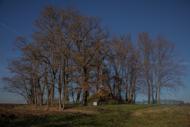 Cmentarz ewangelicki w Łuczanowicach. Wokół kopca zachowało się kilka nagrobków: sarkofag Ludwika Dębickiego, oficera wojsk polskich; postument z kolumną, na której umieszczona jest urna-grób jego syna, także Ludwika, zmarłego w 1843; groby Joanny Aramowej i Karoliny Kempińskiej.