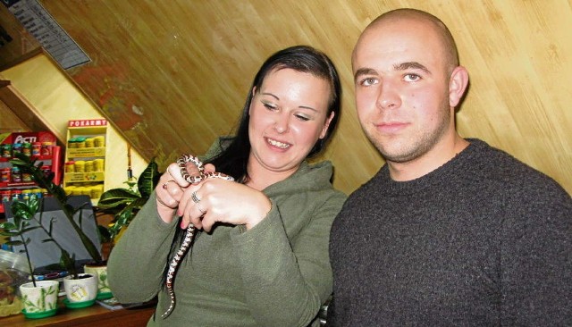 Ola i Marcin od czterech miesięcy prowadzą sklep ze zwierzętami, między innymi z wężami