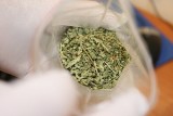 Czechów: 300 gramów marihuany u 19-latka