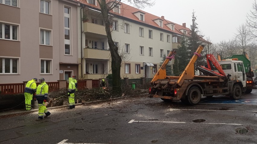 Drzewo spadło na auto w Głogowie