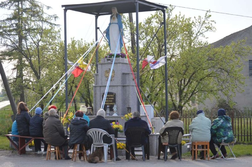 Ponad stuletnia tradycja „ majowego” w Prośnie wciąż żywa 