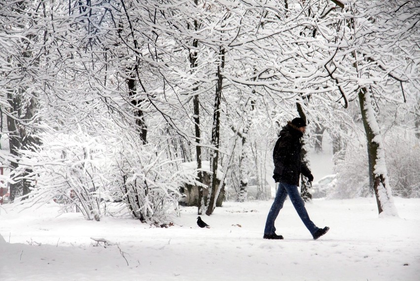 Zima w Lublinie: W nocy spadło kilka centymetrów śniegu (ZDJĘCIA)