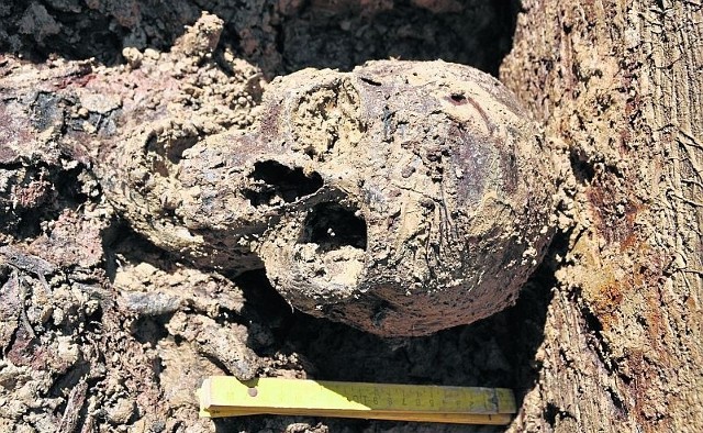 Odkopane w centrum Wałbrzycha ludzkie szczątki dokładnie zbadają antropolodzy