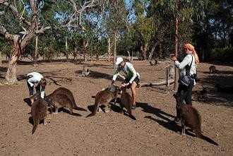 Wyprawa rowerowa po Australii.