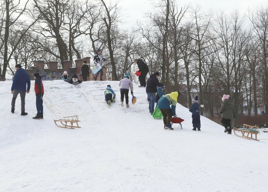 Dzieci chętnie jeździły na sankach w parku Kościuszki.