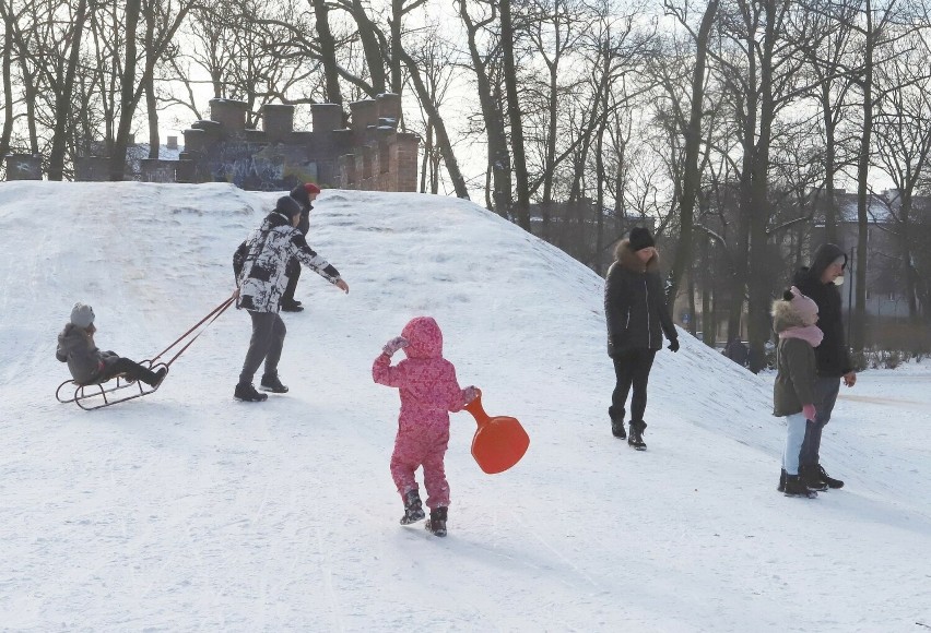 Dużo dzieciaków jeździło w niedzielę na sankach w parku Tadeusza Kościuszki w Radomiu. Zobaczcie zdjęcia