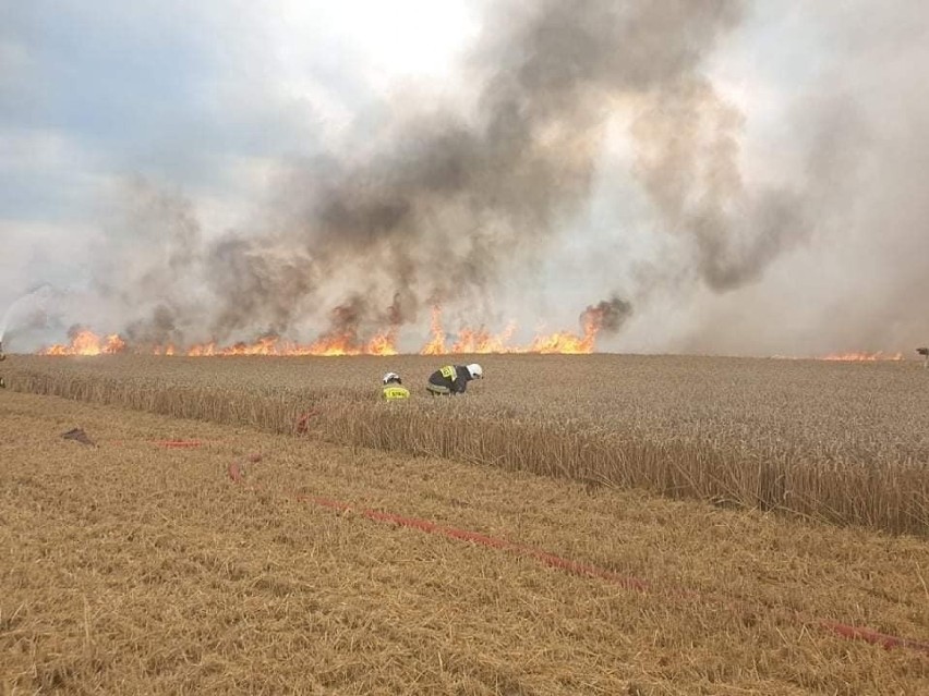 Pożar zboża w Stablewicach w gminie Unisław