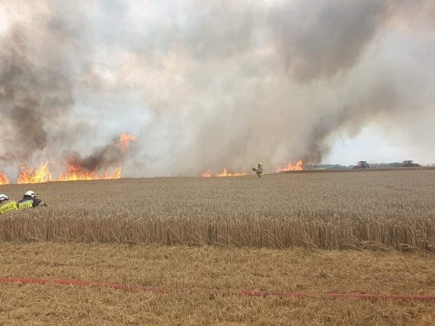 Pożar zboża w Stablewicach w gminie Unisław