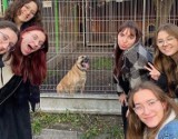 Uczennice III LO w Kaliszu „dają głos” psom z kaliskiego schroniska. ZDJĘCIA