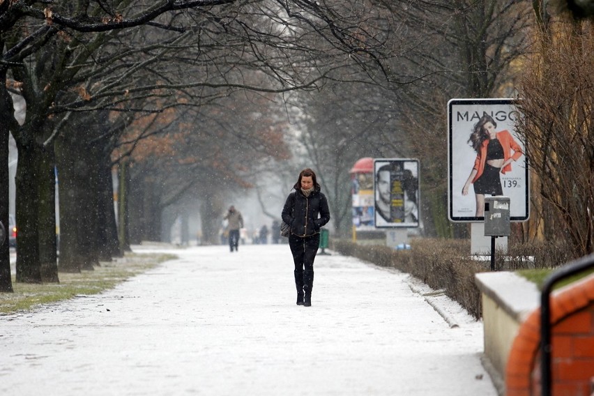 Wrocław: Poprószył śnieg, ślisko na ulicach (ZDJĘCIA, PROGNOZA POGODY)