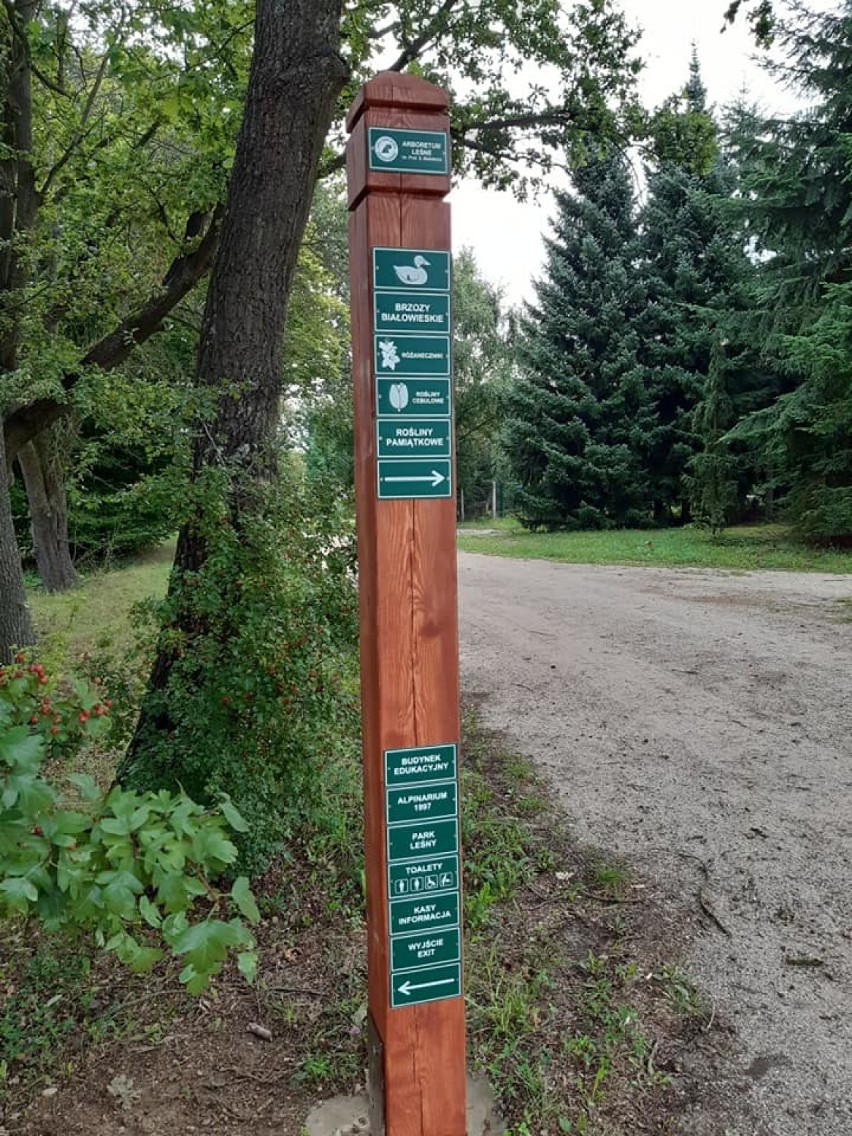 Nowe oznakowanie w Arboretum Leśnym im. prof. Stefana Białoboka w Stradomi