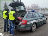 Na targowisku w Fordonie w Bydgoszczy handlowali podrobionym towarem [zdjęcia, wideo]