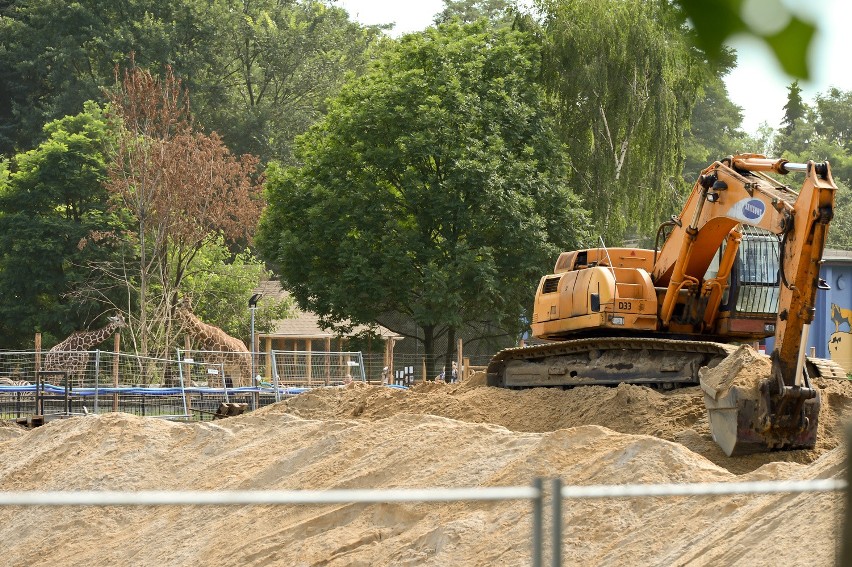 Wrocławskie zoo to plac budowy, ale bilety nie potaniały