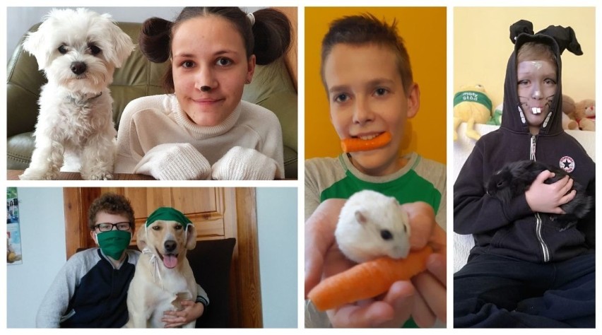 Inowrocławscy uczniowie kochają zwierzęta. Pokazali to w swoich pracach, zgłoszonych do konkursu "Szacun dla zwierząt!" [zdjęcia]