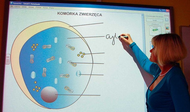 W szkołach województwa śląskiego jest już 513 tablic interaktywnych
