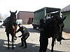 Policyjne konie z Chorzowa i Częstochowy przechodzą... atestację [ZDJĘCIA]