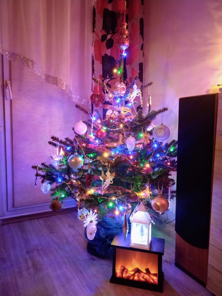 Świąteczne choinki naszych Czytelników z powiatu sieradzkiego. Piękny klimat Bożego Narodzenia. Zobacz ZDJĘCIA