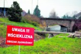 Bocheńszczyzna: uwaga na wściekliznę!