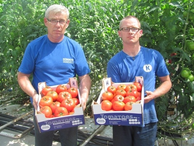 Sławomir Glapiński i Dawid Pasik przekonują, że rodzime pomidory są najlepsze.