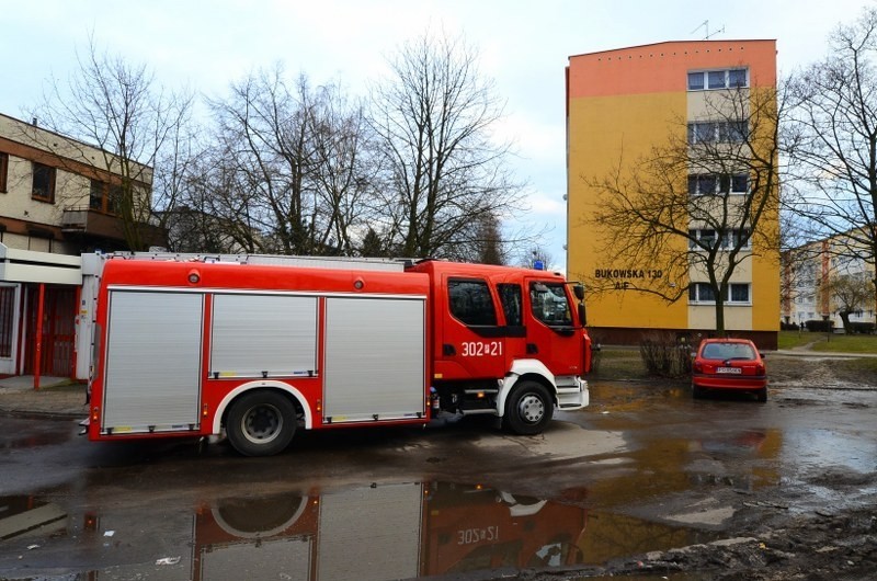 Poznań: Pożar przy Bukowskiej. Cztery osób przewieziono do szpitala [ZDJĘCIA]