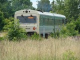 Pociągiem z Malborka przez Nowy Staw na mierzeję? Poseł proponuje reaktywację wyłączonej dziś z użytkowania linii kolejowej numer 256