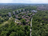 To najbardziej zielone osiedle Krakowa. W samym środku Lasu Borkowskiego