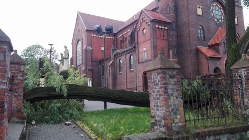 Orkan Ksawery w Siemianowicach Śląskich: Powalone drzewa, uszkodzone samochody i dachy