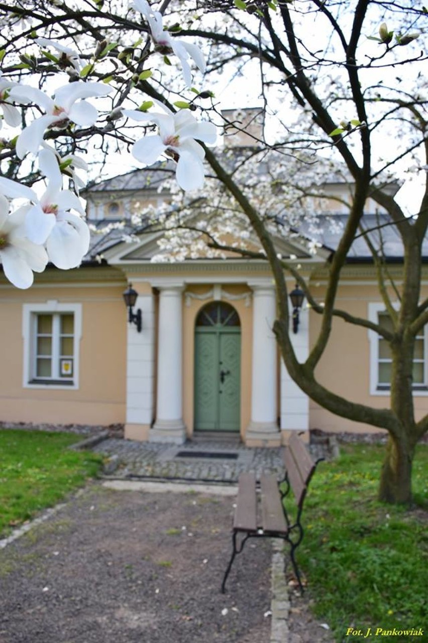 Wiosna w Zespole Pałacowo - Parkowym w Dobrzycy