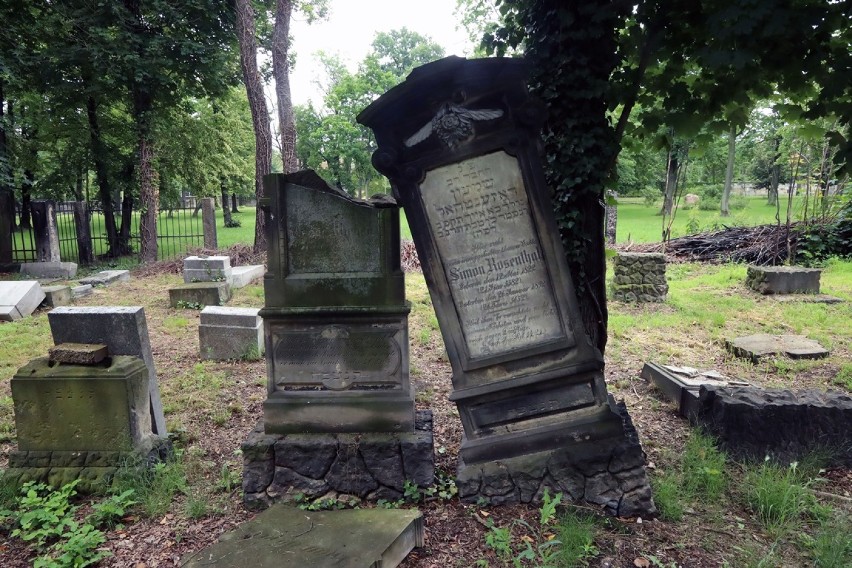 Cmentarz Żydowski w Legnicy ma 182 lat.