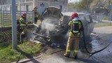 Pożar samochodu osobowego na drodze nr 163 w Kołobrzegu. Auto spłonęło doszczętnie [ZDJĘCIA]