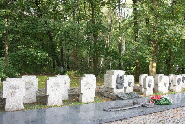 Zdewastowany cmentarzyk na Westerplatte we wrześniu 2006 r.