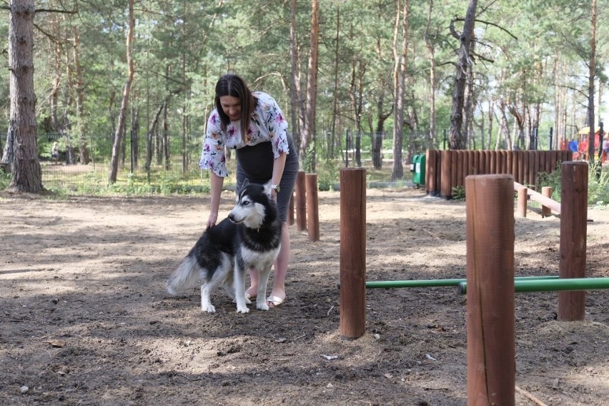 Wybiegi dla psów w Toruniu. Gdzie są najlepsze? Mamy zdjęcia!