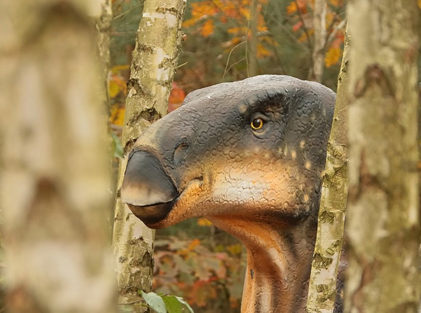 Iguanodon, czyli ząb legwana