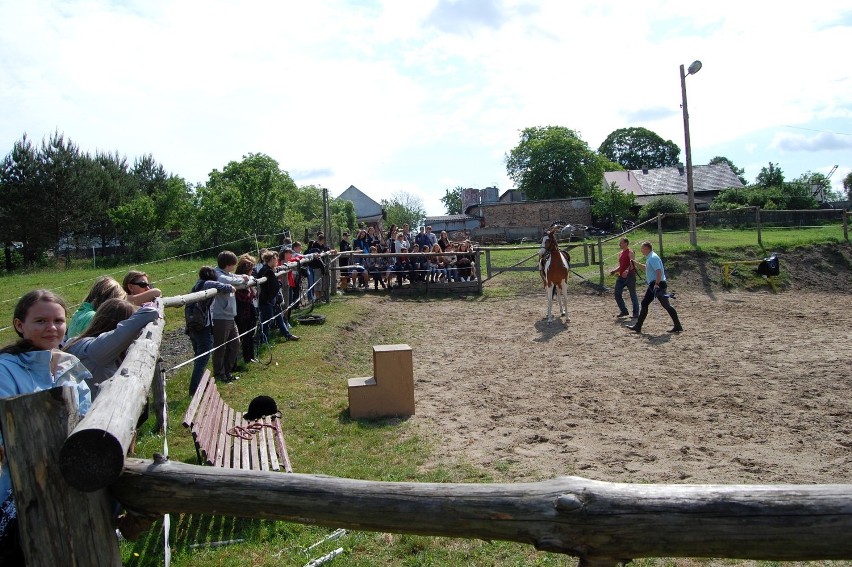 Siemianowice: Cogito w Śląskim Ogrodzie Botanicznym