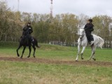 Policja w Poznaniu: Pododdział konny ma nowych funkcjonariuszy