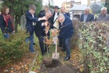 Zakopane: buk na zgodę przy pomniku Chałubińskiego