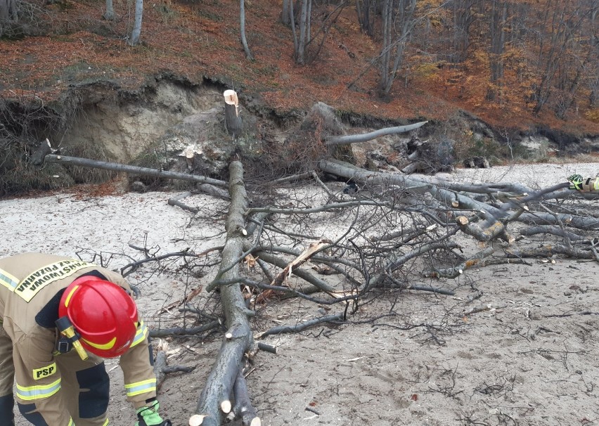 Gdynia: Należy zachować ostrożność podczas spacerów po plaży wzdłuż klifowego wybrzeża. Zagrożenie osuwiskami nie minęło